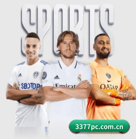 3377体育 APP