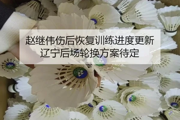 赵继伟伤后恢复训练进度更新 辽宁后场轮换方案待定