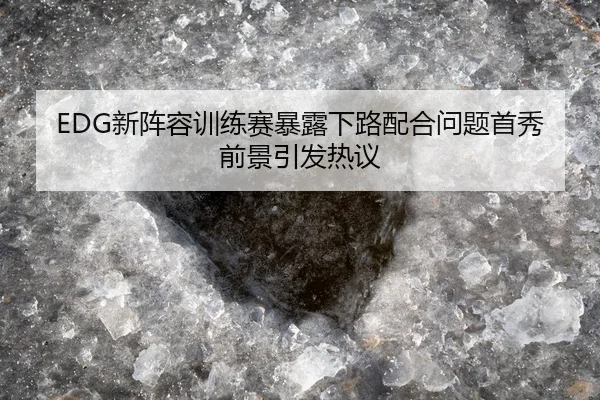 EDG新阵容训练赛暴露下路配合问题首秀前景引发热议